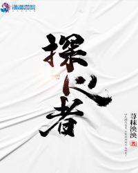 探心者歌词的意思