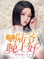 双宝来袭陆爷晚上好txt
