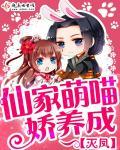 昙花慕容雨老张