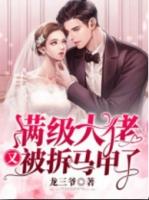 凌大少的满级大佬text