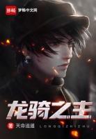 龙骑之主天命