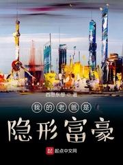 我的老爸是隐形富豪起点