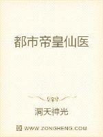 都市帝皇仙医 洞天神光