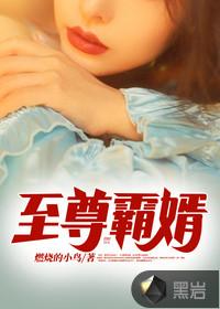 至尊快婿全文免费