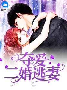 叶少的夺爱婚妻有多少集