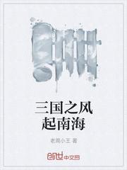 三国之风起南海顶点