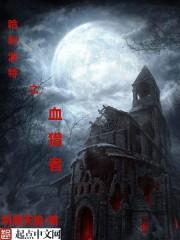 哈利波特之血猎者精修无错版