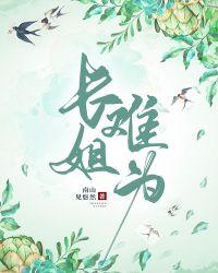 长姐难为很好看