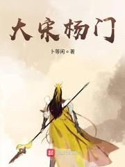 大宋杨门外传