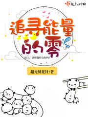 追寻能量的零txt