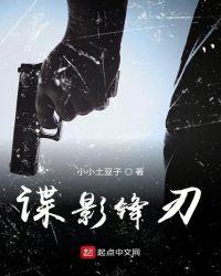 谍影锋刃txt小小土豆子