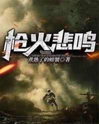 枪火悲鸣txt