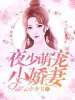 夜少萌宠小娇妻漫画免费下拉式