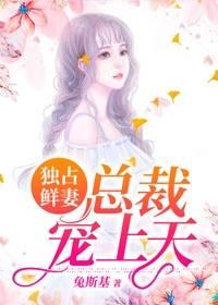 总裁宠妻宠上天全文免费