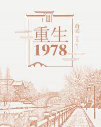 重生1978之强军崛起