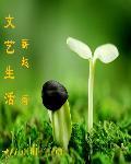 文艺生活类书籍