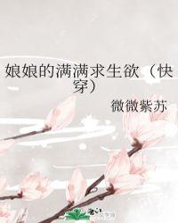 娘娘系列