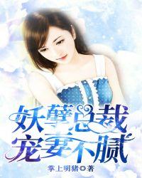 妖孽总裁独宠小太太