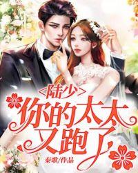 陆少你的老婆又跑了