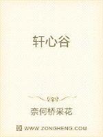 轩心谷百度