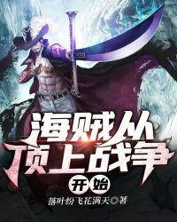 海贼从顶上战争开始txt爱下电子