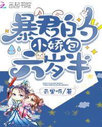 暴君的小娇包六岁半完整简介