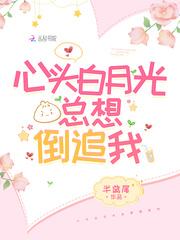 心头白月光总想倒追我从第几章开始男追女