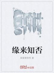 缘来知否 作者我爱黄怪怪