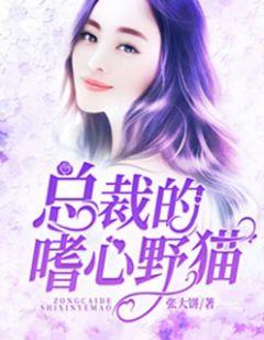 君夜寒 路小优