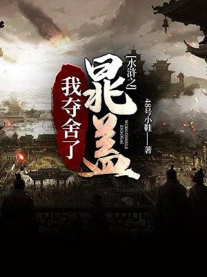 水浒之我夺舍了晁盖有系统
