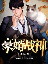 豪婿战神洛锋免费全文阅读