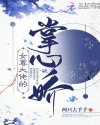 重生之强势宠夫(女尊)