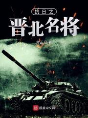 抗日之晋北小卒TXT