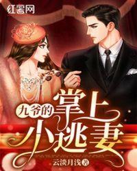 九爷的掌上小逃妻tst免费