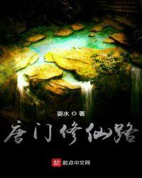 唐门修仙路顶点