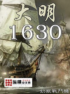 大明1630讲的什么