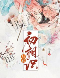 与君初相识一共多少集