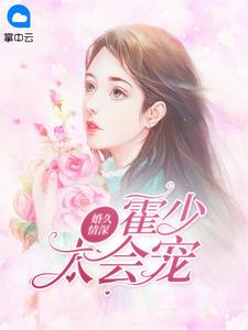 婚久情深霍少太会宠txt