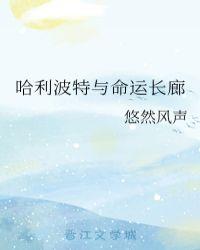 哈利波特与命运长廊23
