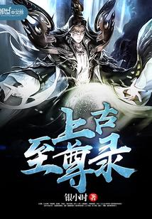 至尊上古遗物碎片