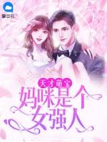 天才萌宝妈咪是个女强人百度