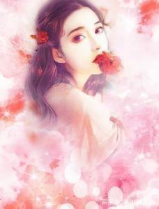 季苒贺璟庭全集