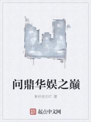 问鼎华娱之巅TXT
