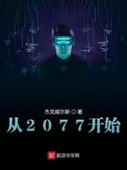 2077开始选哪个