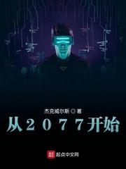 2077开始options进入