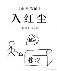 盗墓笔记入红尘多少字