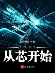 1991从芯开始 齐齐读