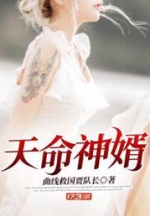 天命神婿陈黄皮叶红鱼免费阅读