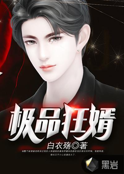 极品狂婿高铁和叶星辰