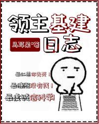 领主基建日志txt